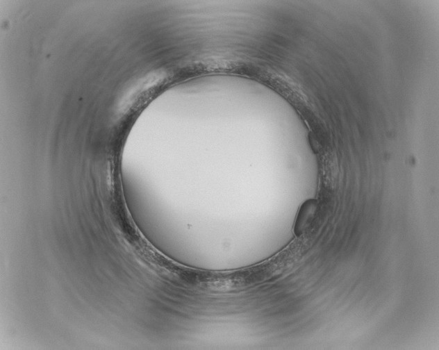 X0000070340740200607072012