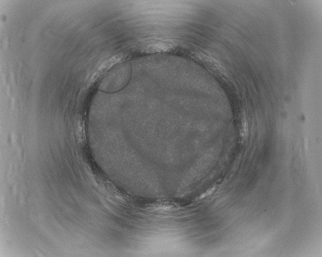 X0000070340743200607072012