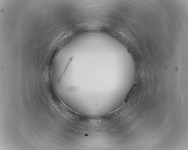 X0000070340744200607072012