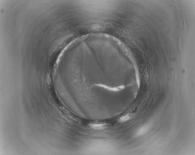 X0000070340746200607072012