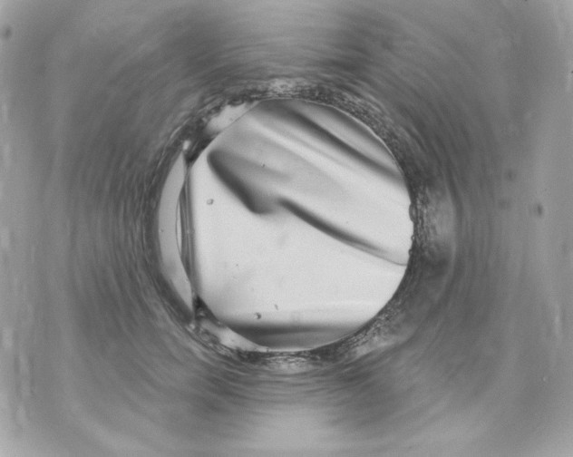 X0000070340750200607072012