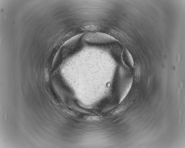 X0000070340751200607072012