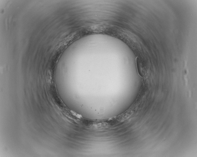 X0000070340752200607072012