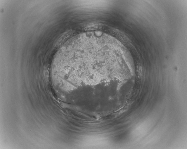 X0000070340753200607072012