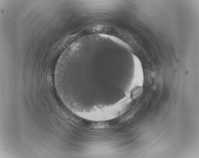 X0000070340754200607072012