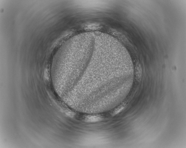 X0000070340755200607072012