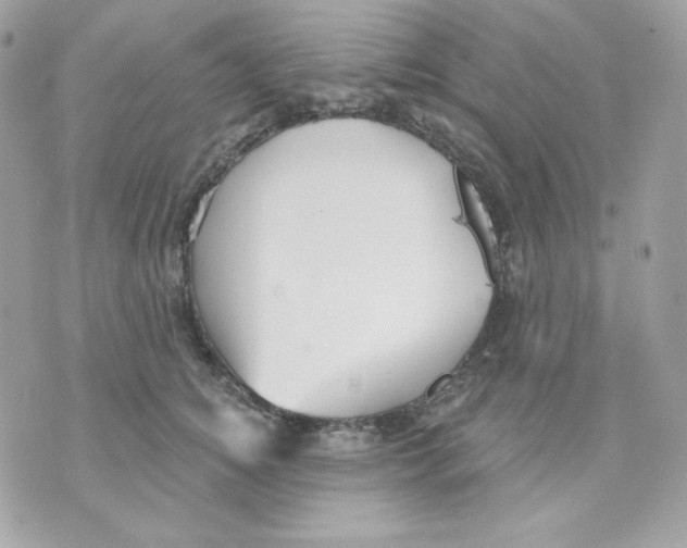 X0000070340756200607072012