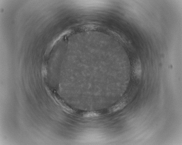 X0000070340759200607072012