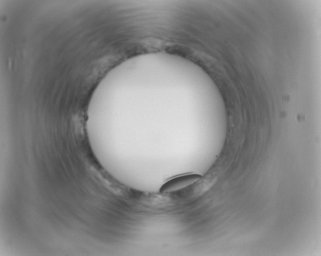 X0000070340768200607072013