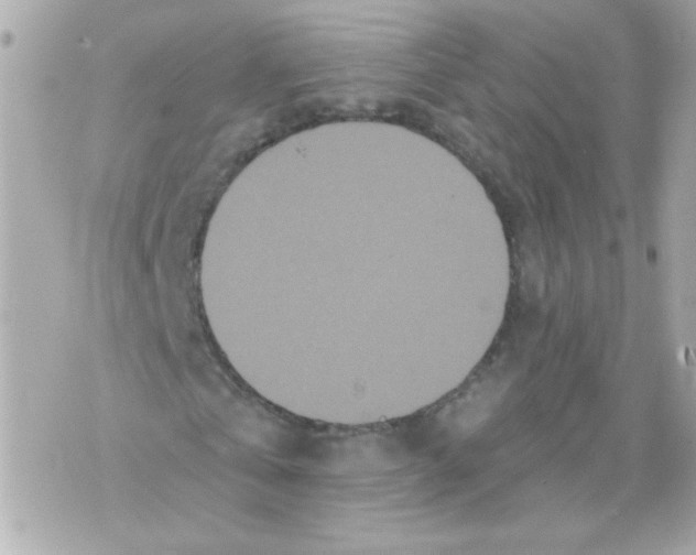 X0000070340769200607072012