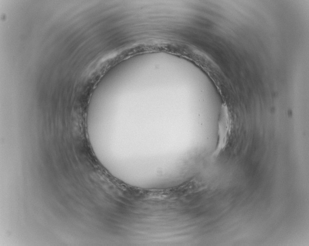 X0000070340773200607072012