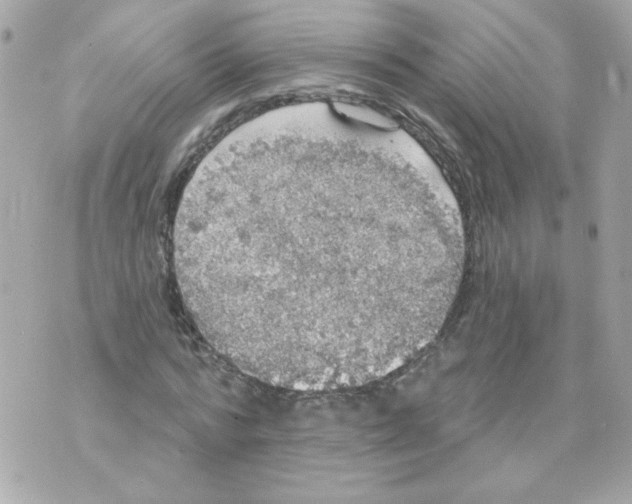 X0000070340776200607072012