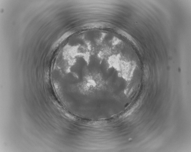 X0000070340778200607072012