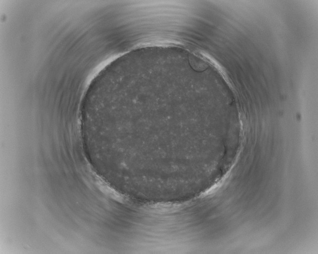 X0000070340779200607072012