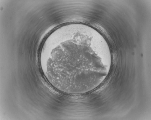 X0000070340780200607072012