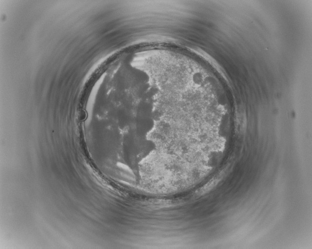 X0000070340783200607072012