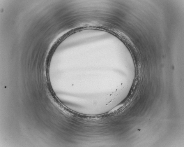 X0000070340784200607072012