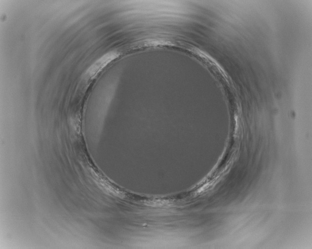 X0000070340785200607072012