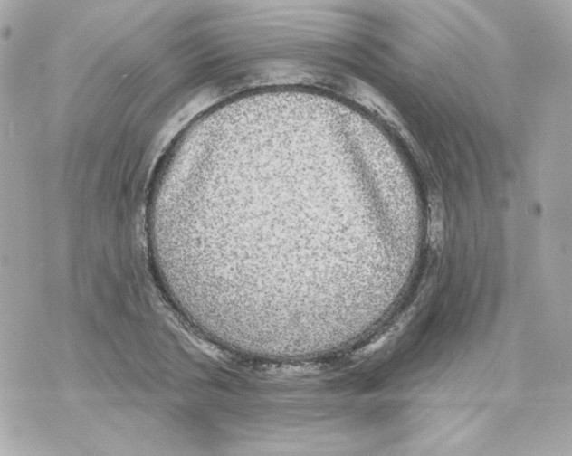 X0000070340786200607072012