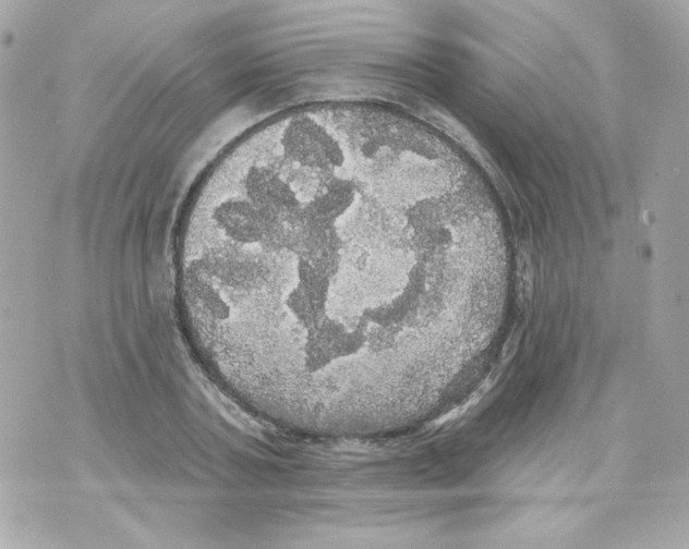 X0000070340787200607072012