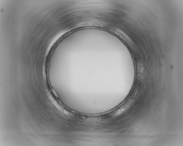 X0000070340788200607072012