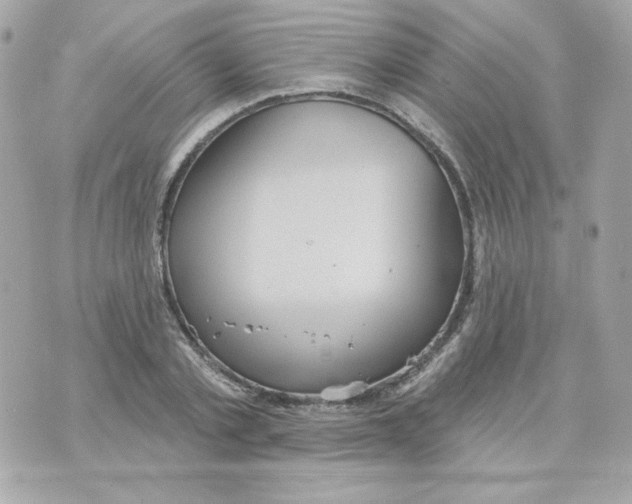 X0000070340789200607072012