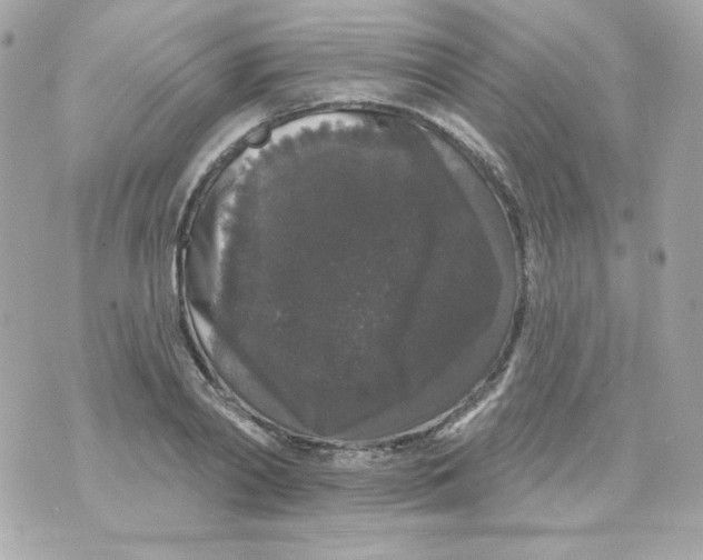 X0000070340790200607072012