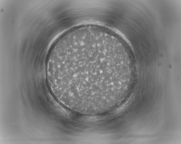 X0000070340791200607072011