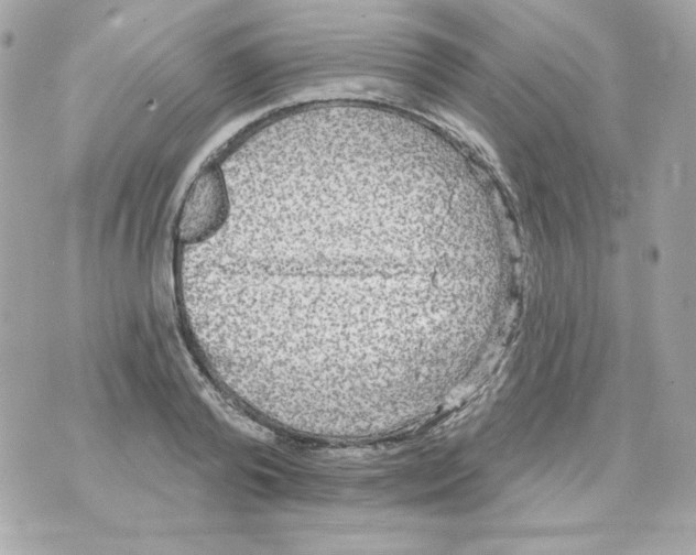 X0000070340792200607072011