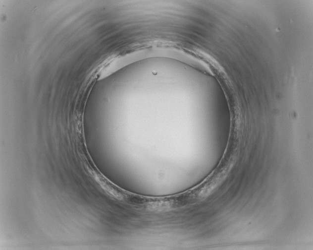 X0000070340793200607072011