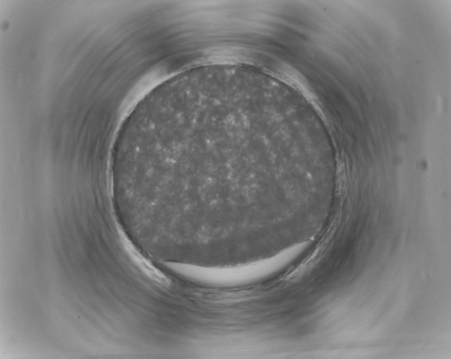 X0000070340795200607072011