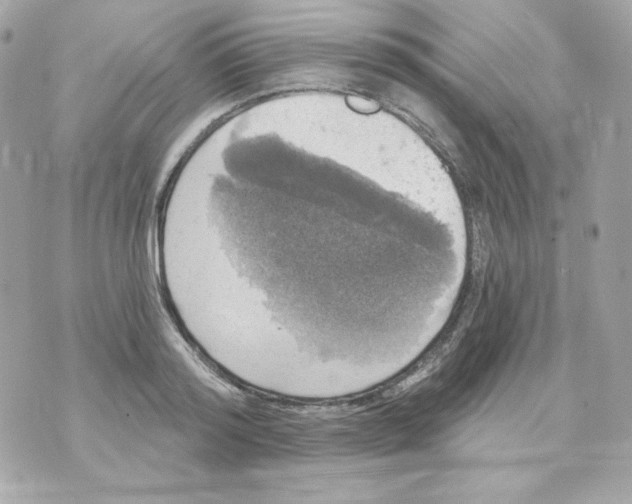 X0000070340796200607072011