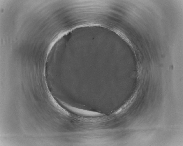 X0000070340797200607072011