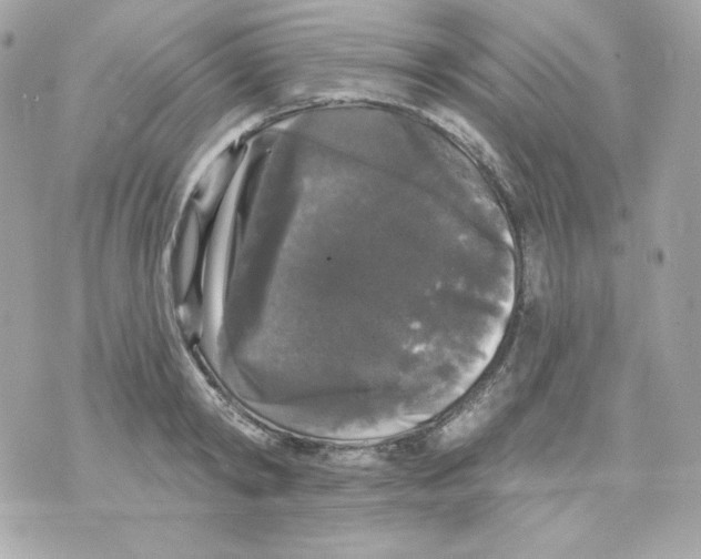 X0000070340798200607072011