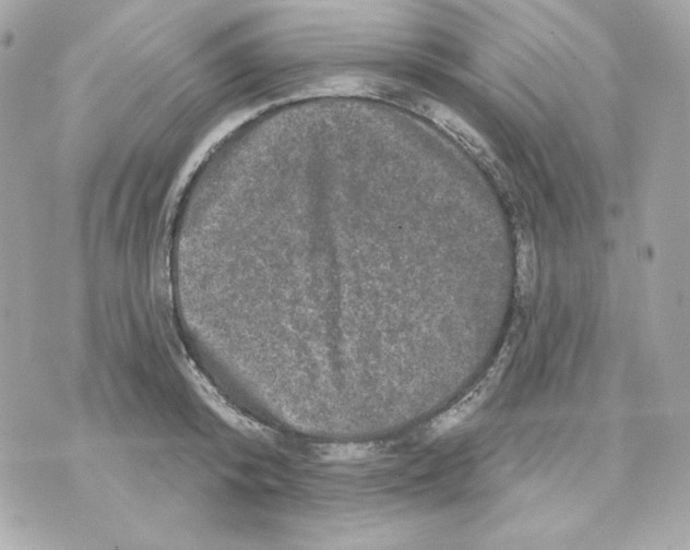 X0000070340800200607072011