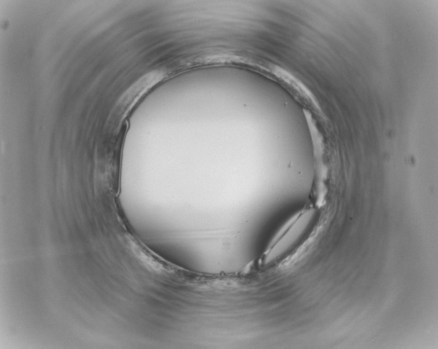 X0000070340801200607072011