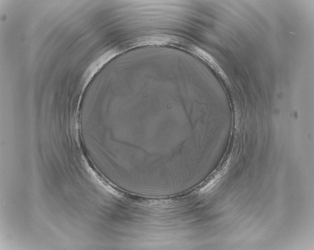 X0000070340802200607072011