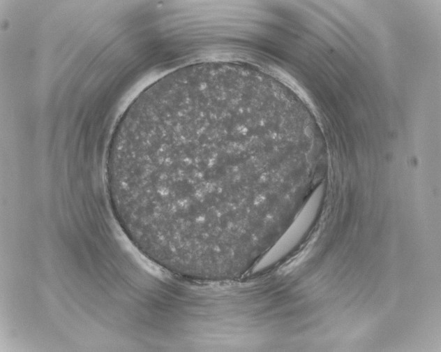 X0000070340803200607072011