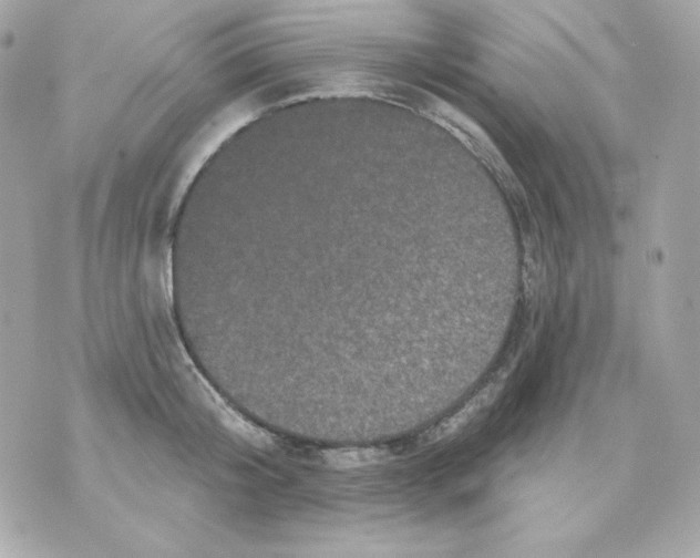 X0000070340804200607072011