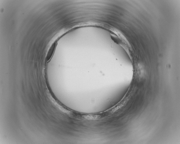 X0000070340805200607072011