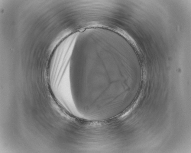 X0000070340806200607072011