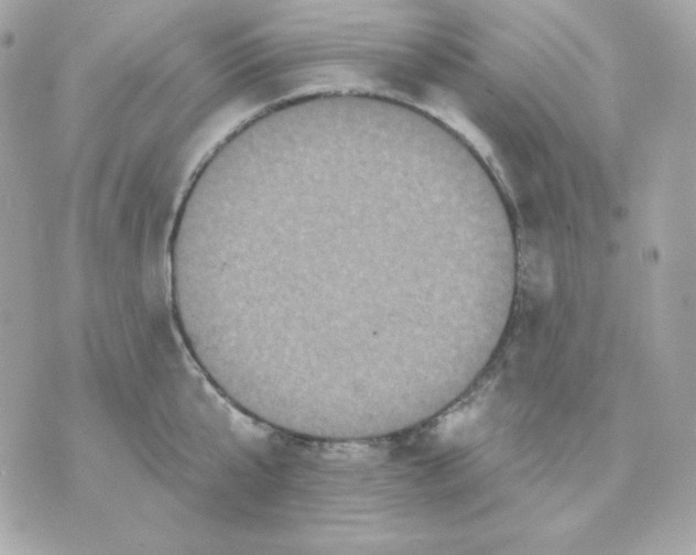 X0000070340807200607072011