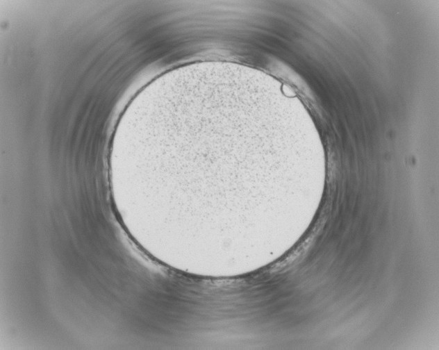 X0000070340808200607072011