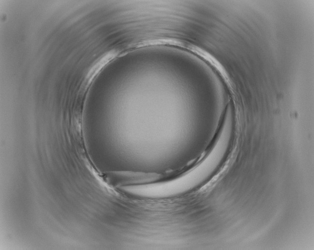 X0000070340809200607072011