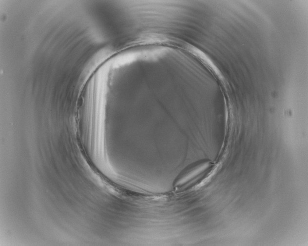 X0000070340810200607072011