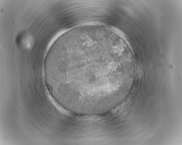 X0000070340811200607072011