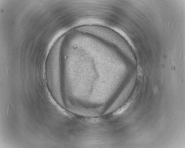 X0000070340815200607072011