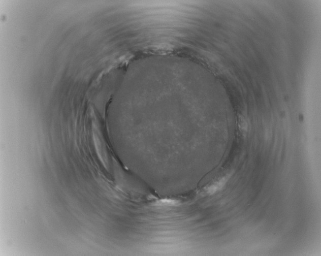 X0000070340818200607072010