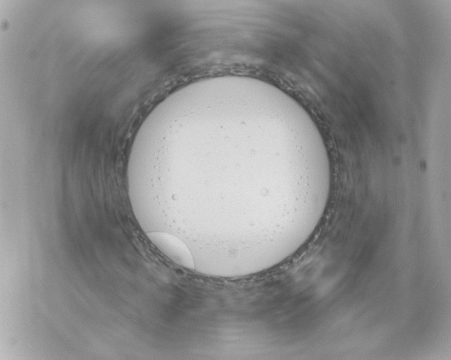 X0000070340820200607072010