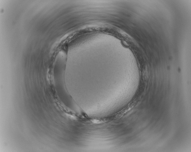 X0000070340822200607072010